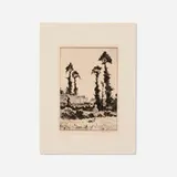 Martin Lewis, Trees at Gotemba (Japan)