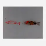 Michael Heizer, Fish Drawing, 1978, offset lithograph, graphite, oil, spray paint on zinc plate