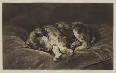Untitled by Herbert Dicksee, a puppy asleep original etching, sold Dec 2021