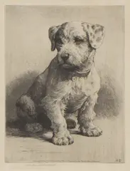 Untitled by Herbert Dicksee, Herbert Thomas Dicksee RE (1862-1942) ‘A Sealyham Pup’ original etching on paper, sold Dec 2021