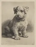Herbert Dicksee, Untitled, Herbert Thomas Dicksee RE (1862-1942) ‘A Sealyham Pup’ original etching on paper