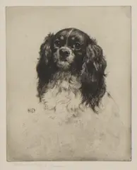 Untitled by Herbert Dicksee, head and shoulders etching, sold Dec 2021