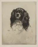 Herbert Dicksee, Untitled, head and shoulders etching