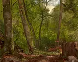 George Hetzel, Scalp level landscape