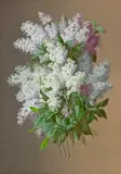 Raoul Maucherat de Longpré, Floral still life with lilacs, watercolor and gouache on paper