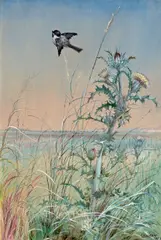 Fidelia Bridges, Chickadee and Thistle, 1875, watercolor and gouache on paper