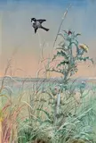 Fidelia Bridges, Chickadee and Thistle, 1875, watercolor and gouache on paper