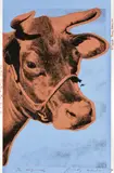 Cow by Andy Warhol, 1976, Farbserigrafie auf Tapete, sold Nov 2024