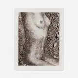 Untitled (Study for Torso (After Drtikol) from Pictures of Soil) by Vik Muniz, 1997, polaroid, sold Mar 2023