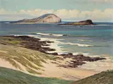D. Howard Hitchcock, Rabbit Island, Oahu, Hawaii
