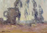 Giuseppe Cadenasso, The sign of the Eucalyptus