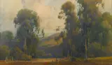 Percy Gray, Eucalyptus Trees, Marin County, 1924, watercolor on paper