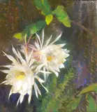 Laura Coombs Hills, Night blooming Cereus