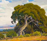 Arthur Hill Gilbert, Oaks in the meadow, oil on canvas affixed to board