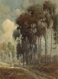 Percy Gray, Road along a line of Eucalyptus trees