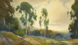 Percy Gray, Eucalyptus in Burlingame, California