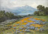 William Franklin Jackson, Poppies and lupine with Mt. Tamalpais in the distance