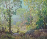 Maurice Braun, A color filled glow through the trees