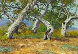 Charles Partridge Adams, California oak groves