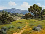 David Chapple, California foothills