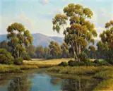 David Chapple, Evening pond