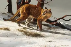 Gary R. Swanson, Mountain lion in the snow, oil on canvas
