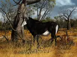 Gary R. Swanson, Sable antelope, 1984, oil on canvas