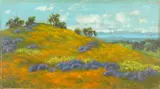 Charles Dorman Robinson, 'San Pablo Bay from San Rafael, Marin County, California', oil on board