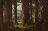 Clarkson Dye, View through the trees, oil on masonite