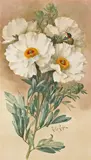 Paul de Longpré, 'Matilija poppies'