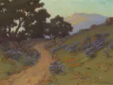 John Marshall Gamble, 'Wild Heliotrope and Poppies'