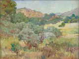 Charles A. Fries, Manzanitas, near Hubbard Grove