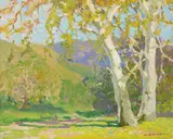 Arthur Grover Rider, Impressionistic splendor (believed to be Laguna Canyon)