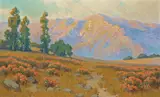 John Marshall Gamble, 'Wild Buckwheat, Evening'