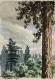 Maynard Dixon, Pine Trees, 1892; Happy New Year, 1893 (a pair)