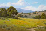 David Chapple, 'Afternoon Light'
