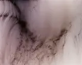 Wolfgang Tillmans, Freischwimmer 173