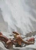 Nicola Verlato, "Snow", 2015, Öl auf Leinwand