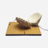 Vito Acconci, Convertible Clam Shelter Maquette