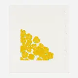 Wallflower 7 (from the Wallflowers series) by Donald Sultan, 2008, screenprint in colors, sold Jan 2023