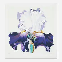 Lowell Nesbitt, Iris, 1980, screenprint in colors