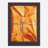 Yrjo Edelmann, Wrapped Van Gough (from The Package Deal portfolio)