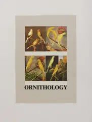Untitled by Peter Blake, Sir Peter Blake RA (b.1932) 'O is for Ornithology' screenprint in colours, sold Nov 2021