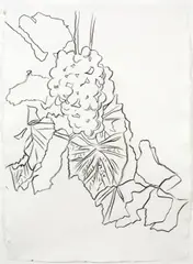 Grapes by Andy Warhol, c. 1979, graphite on HMP paper, offered Nov 2009