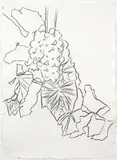 Andy Warhol, Grapes, c. 1979, graphite on HMP paper