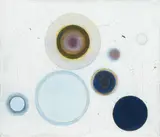 Paul Feiler, Orbis X