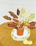 Bryan Pearce, The Croton Plant