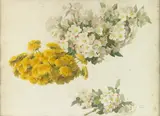 Paul de Longpré, Study of apple blossoms and dandelions; Chrysanthemums; Study of poppies; Garden leaves (group of four)