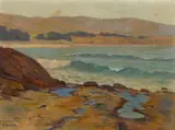 Elmer Wachtel, Tide pools on the shore