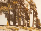 Maynard Dixon, 'Fallen Leaf', 1932, pastel on paper